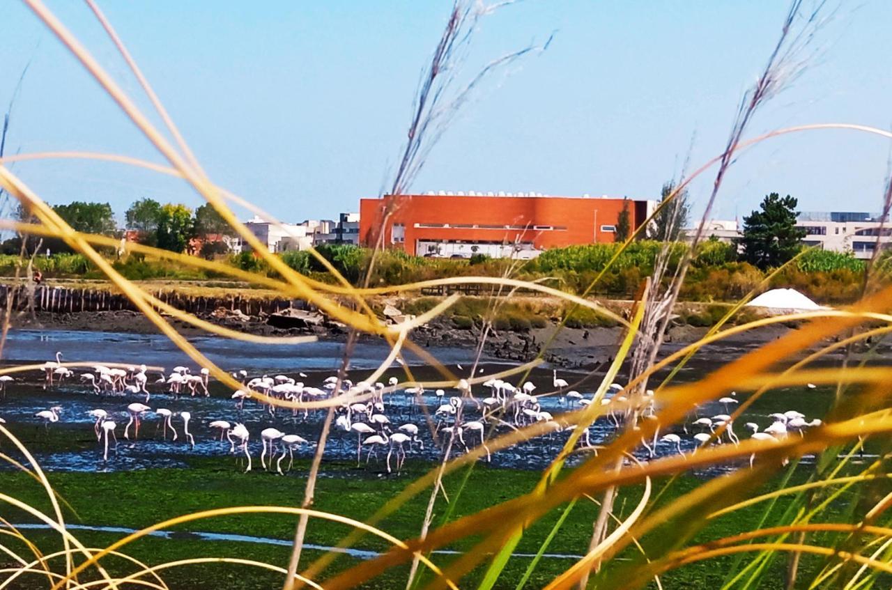 Aveiro, Ria E Arte Appartamento