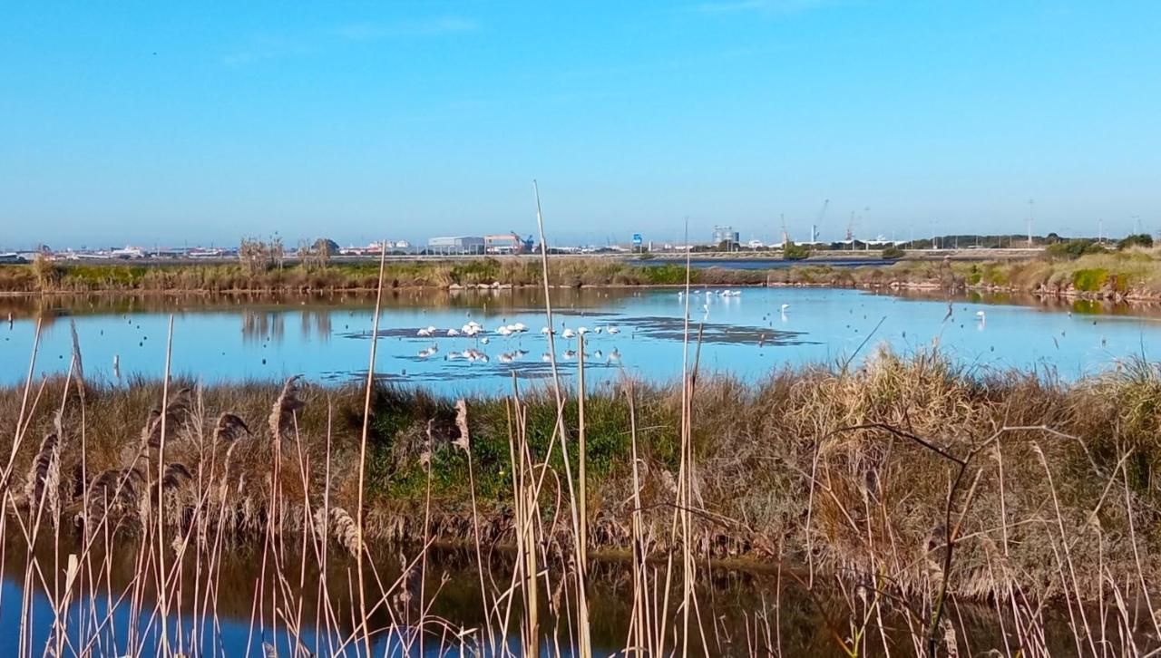 Aveiro, Ria E Arte